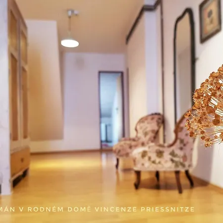 Apartma V Rodnem Dome Vincenze Priessnitze V Centru Lazni Jeseník