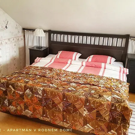 Lägenhet Apartma V Rodnem Dome Vincenze Priessnitze V Centru Lazni