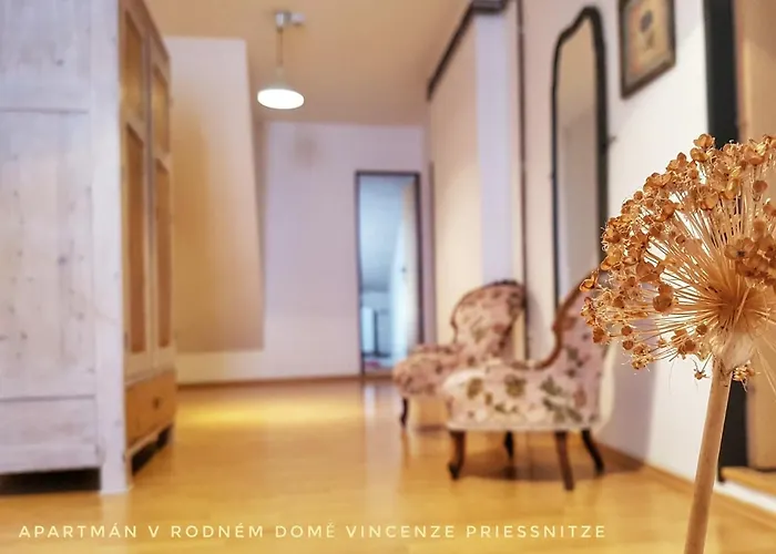 Apartma V Rodnem Dome Vincenze Priessnitze V Centru Lazni Jeseník